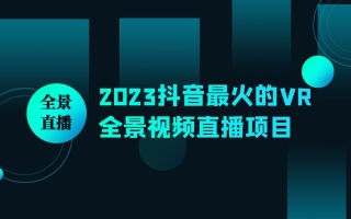 2023抖音最火的VR全景视频直播项目